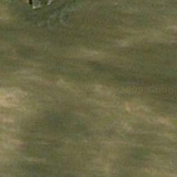 Florablog Contest: secondo albero monumentale, il cerro nei pressi di Altamura (BA) Florablog Contest: secondo albero monumentale, il cerro nei pressi di Altamura (BA)