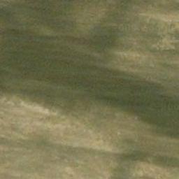 Florablog Contest: secondo albero monumentale, il cerro nei pressi di Altamura (BA) Florablog Contest: secondo albero monumentale, il cerro nei pressi di Altamura (BA)