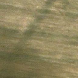 Florablog Contest: secondo albero monumentale, il cerro nei pressi di Altamura (BA) Florablog Contest: secondo albero monumentale, il cerro nei pressi di Altamura (BA)