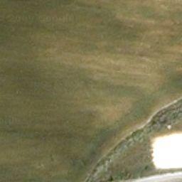 Florablog Contest: secondo albero monumentale, il cerro nei pressi di Altamura (BA) Florablog Contest: secondo albero monumentale, il cerro nei pressi di Altamura (BA)