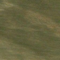 Florablog Contest: secondo albero monumentale, il cerro nei pressi di Altamura (BA) Florablog Contest: secondo albero monumentale, il cerro nei pressi di Altamura (BA)