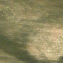 Florablog Contest: secondo albero monumentale, il cerro nei pressi di Altamura (BA) Florablog Contest: secondo albero monumentale, il cerro nei pressi di Altamura (BA)