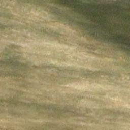 Florablog Contest: secondo albero monumentale, il cerro nei pressi di Altamura (BA) Florablog Contest: secondo albero monumentale, il cerro nei pressi di Altamura (BA)