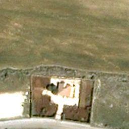 Florablog Contest: secondo albero monumentale, il cerro nei pressi di Altamura (BA) Florablog Contest: secondo albero monumentale, il cerro nei pressi di Altamura (BA)