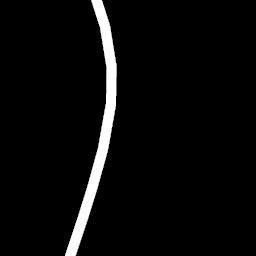 Florablog Contest: secondo albero monumentale, il cerro nei pressi di Altamura (BA) Florablog Contest: secondo albero monumentale, il cerro nei pressi di Altamura (BA)