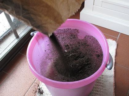 Come ottenere un fertilizzante liquido dal compost