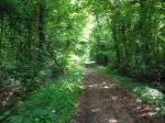 Obiettivo su Bosco Fontana: maratona fotografica