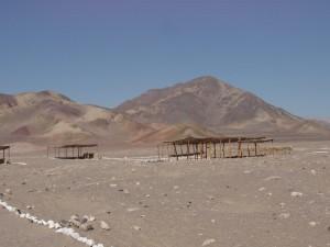 013-018 Perù Nazca cimitero di Chauchilla olimp (7)