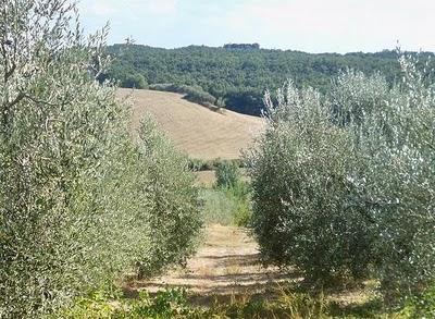 Promozione della Toscana e delle pratiche di buona agricoltura. Il convegno alla Villa Medicea di Cerreto Guidi e le degustazioni di ToscanaIn