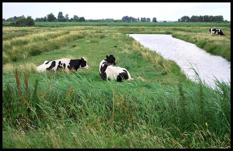 L'Olanda non è solo Amsterdam