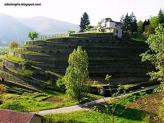 LA CAPITALE DELLA NOCCIOLA