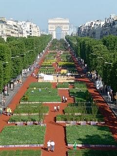 Gli Champs Elysées si vestono di verde Gli Champs Elysées si vestono di verde