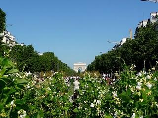Gli Champs Elysées si vestono di verde Gli Champs Elysées si vestono di verde