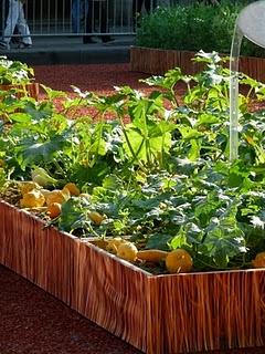 Gli Champs Elysées si vestono di verde Gli Champs Elysées si vestono di verde