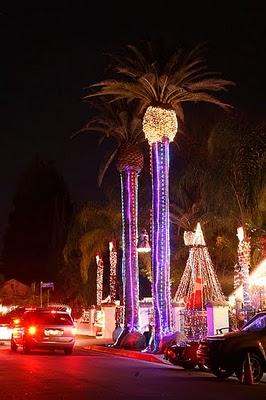 CANDY CANE LANE