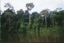 Perù: la legge forestale infiamma la resistenza indigena