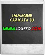 Nexus S: trovato il codice identificativo Europeo? ,