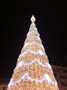 Luminarie a Salerno e Carne Marezzata