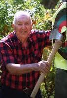 Timber racing Timber racing