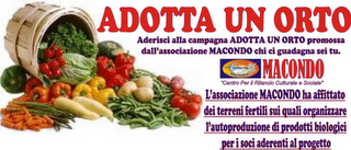 Adotta un orto con l' associazione Mondomacondo!