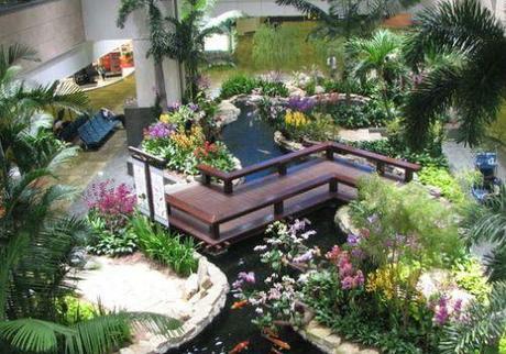 Singapore-piscina-orchidee