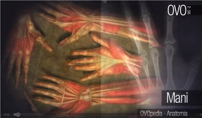 I video di OVO: lo scheletro, la mano, il piede