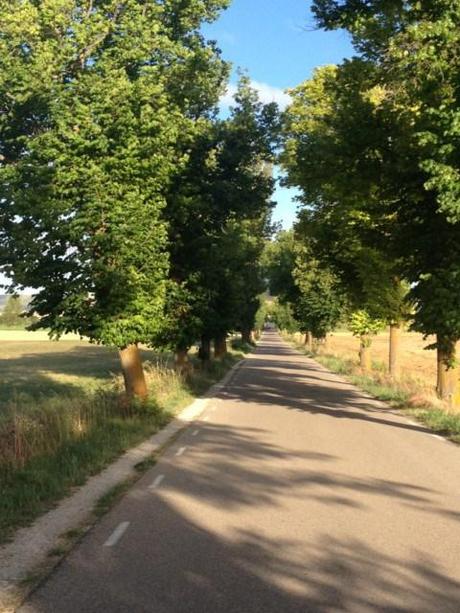 La strada che porta a Castrojeriz