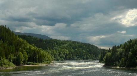 Depuis le train, entre Trondheim et Bodo