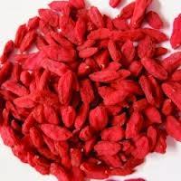 bacche di goji controindicazioni bacche-di-gojji2-1