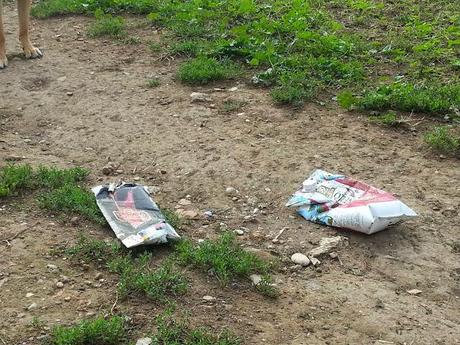Via Guglielmo degli Umbertini. Uno dei cento giardini di Roma in mano a sbandati e ubriaconi così come niente fosse Via Guglielmo degli Umbertini. Uno dei cento giardini di Roma in mano a sbandati e ubriaconi così come niente fosse