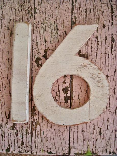 Guida alle Taglie Guida alle Taglie