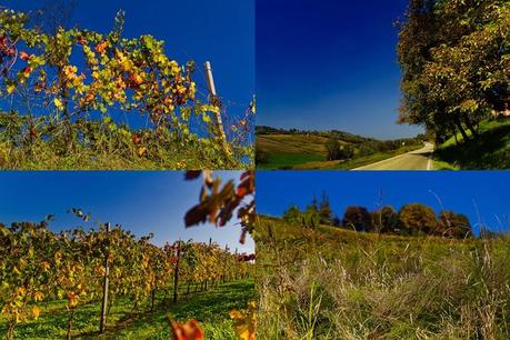 Monferrato Monferrato