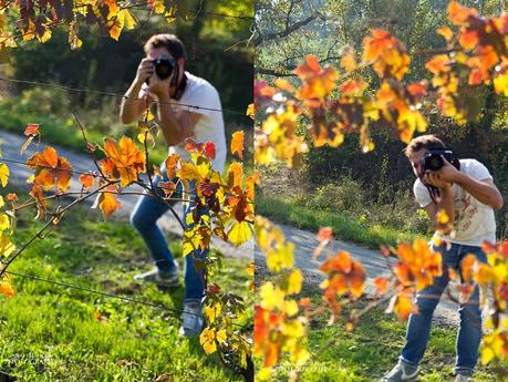 Autunno, sole e colori Autunno, sole e colori