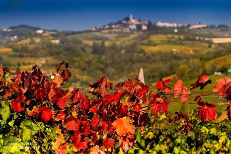 Mari Crea Photography Monferrato