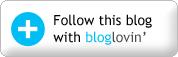 Il dilemma delle borse Follow on Bloglovin