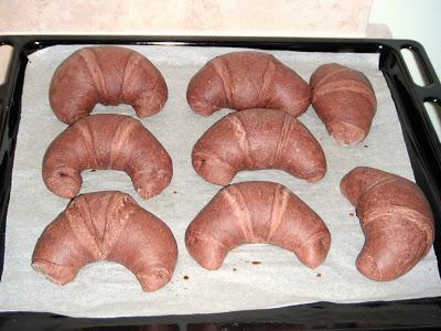 Brioches al doppio cioccolato Brioches al doppio cioccolato