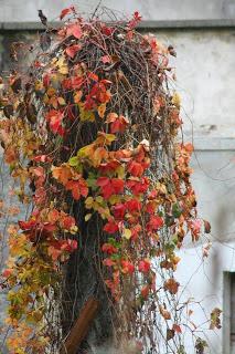 Fall foliage in Valle Olona