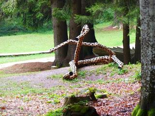 Il profondo Nordest: La Valsugana, la Val di Sella e l’Orto Botanico di Padova