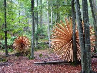 Il profondo Nordest: La Valsugana, la Val di Sella e l’Orto Botanico di Padova