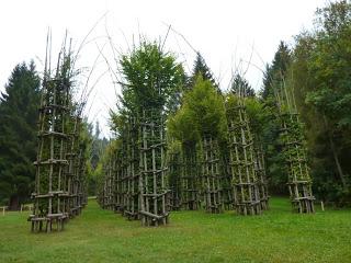 Il profondo Nordest: La Valsugana, la Val di Sella e l’Orto Botanico di Padova