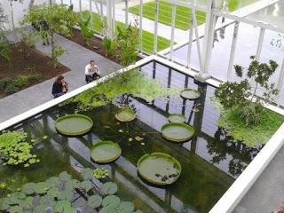 Il profondo Nordest: La Valsugana, la Val di Sella e l’Orto Botanico di Padova