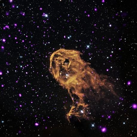 I gioielli prezioni di Chandra Credit: X-ray: NASA/CXC/PSU/Getman et al, Optical: DSS, Infrared: NASA/JPL-Caltech
