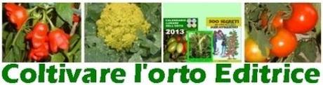 Novembre 2013. Calendario lunare delle semine nell’orto