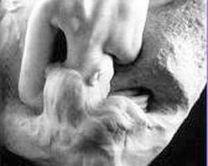 “Rodin. Il marmo, la vita”: Auguste Rodin in mostra a Palazzo Reale sino al 26 gennaio 2014, Milano