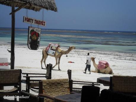 Spiagge e fauna: la Provincia della Costiera del Kenya