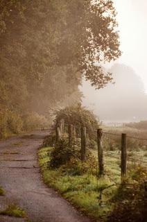 Nella nebbia della pianura padana