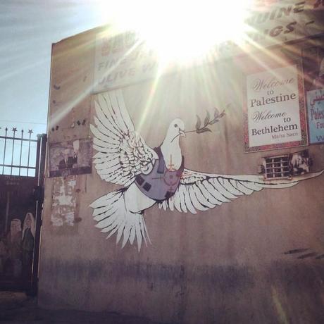 In Cisgiordania lungo il muro IMG_20131026_201405