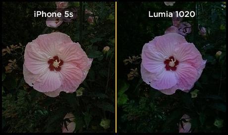 lumia 1020 iphone 5s low light flower Confronto fotografico tra iPhone 5s e Nokia Lumia 1020: chi scatta meglio le foto?