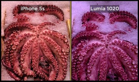 lumia 1020 iphone 5s octopus Confronto fotografico tra iPhone 5s e Nokia Lumia 1020: chi scatta meglio le foto?