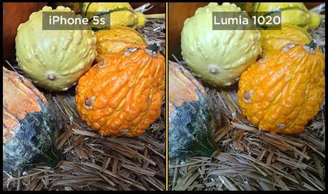 lumia 1020 iphone 5s close up gourd Confronto fotografico tra iPhone 5s e Nokia Lumia 1020: chi scatta meglio le foto?
